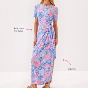 NWT Chace Maxi Dress in Multi Elephant Splash XL